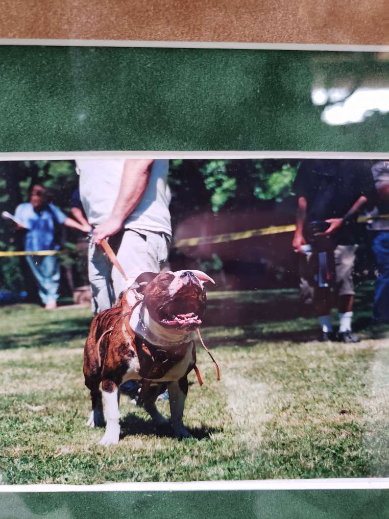 15849924122523138170313141337256