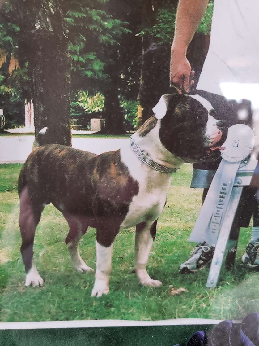 15849924585357507536783585644734