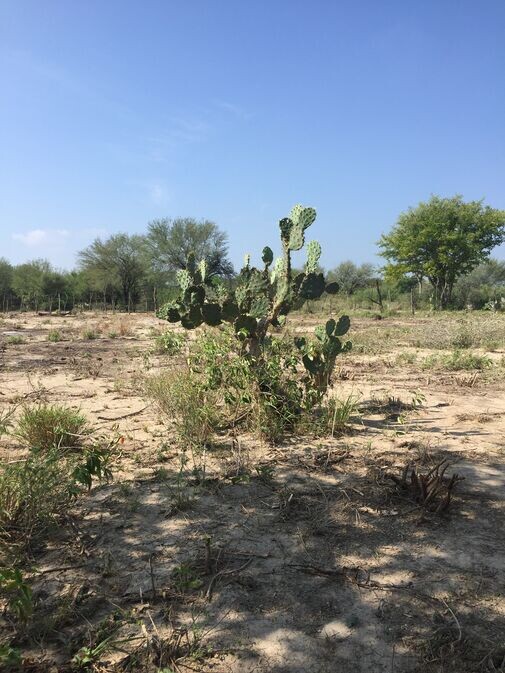 20171117_205835_noexif