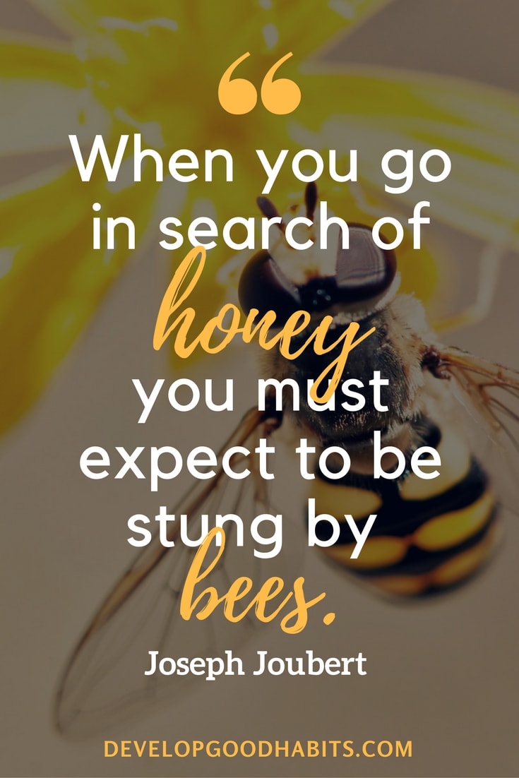 honey-bees