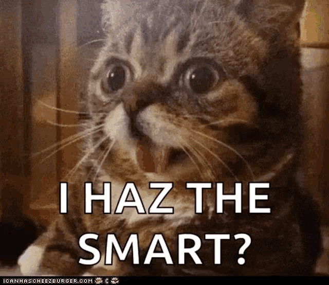 IMG_1124.gif