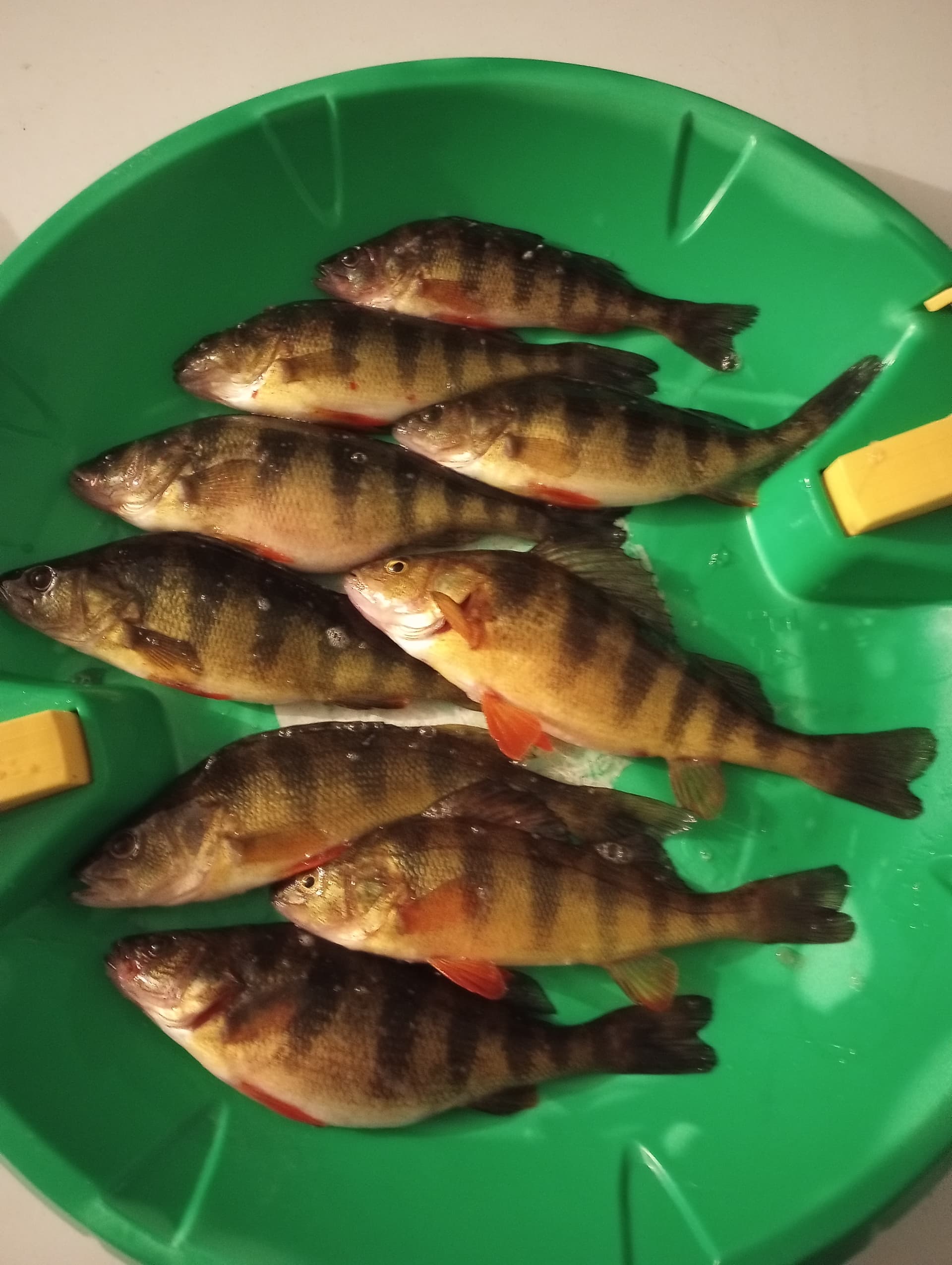 IMG_20220216_210431614