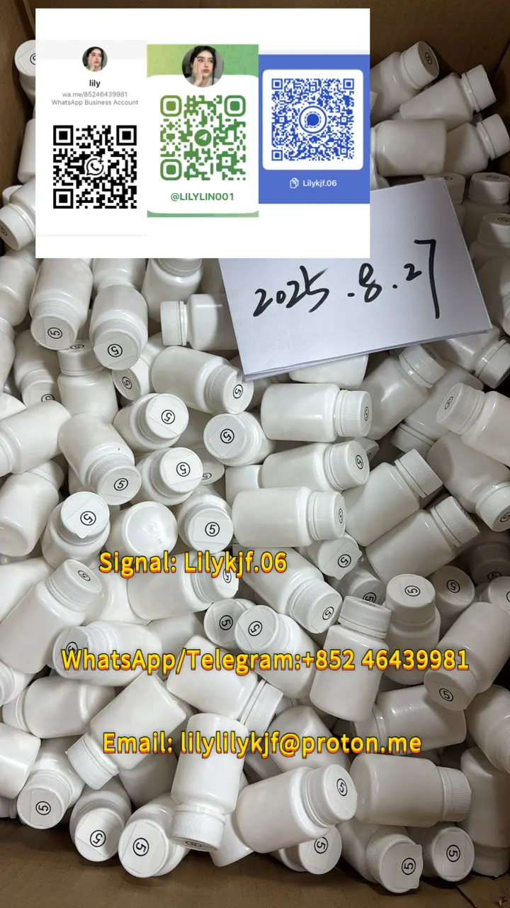 photo_2025-08-27_13-31-54 (2).webp