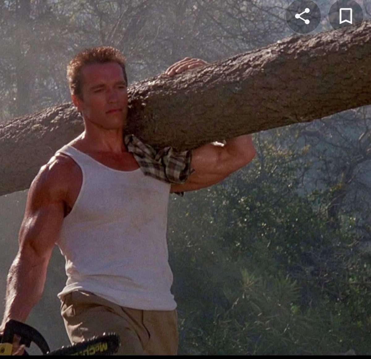 Screenshot_20210724-191231