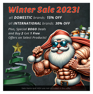 wintersale20231