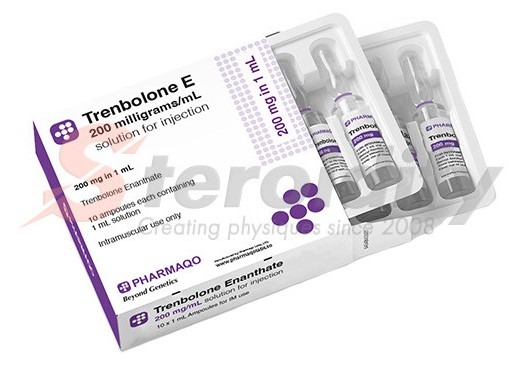 Pharmaqo Trenbolone Enanthate